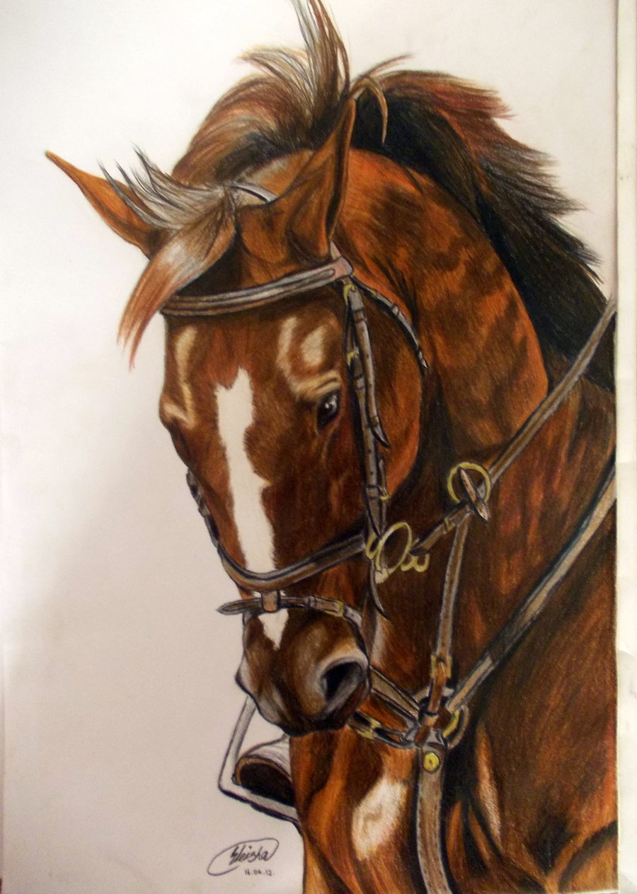 900x1264 Dressage Horse