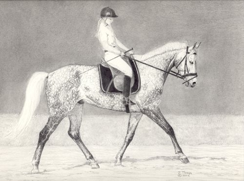 500x370 Dressage Horse In Graphite