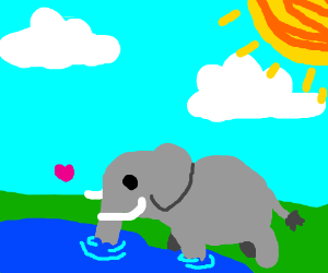300x250 An Elephant Drinking Water