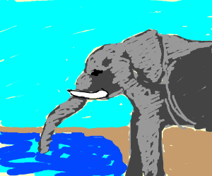 300x250 Elephant Drinking Water