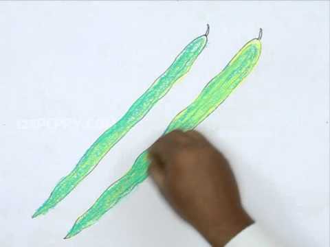 480x360 How To Draw Drumsticks