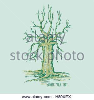 300x320 Dry Tree Without Leaves With Sketch Grass Stock Photo 126156241