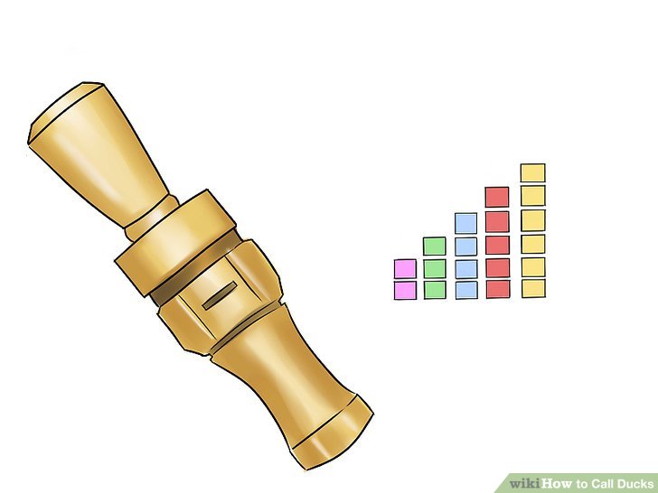 728x546 How To Call Ducks (With Pictures)