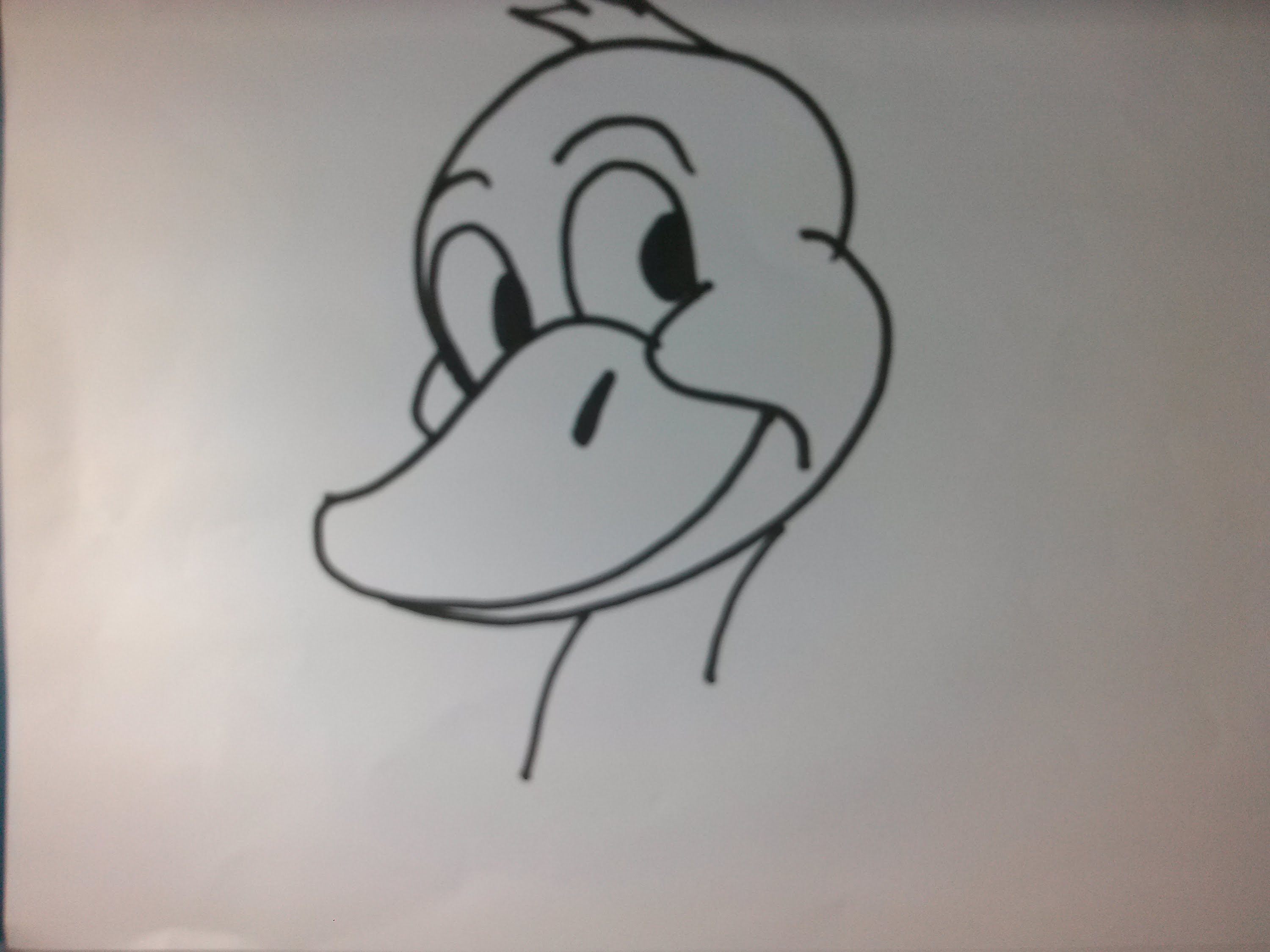 3000x2250 How To Draw A Cartoon Duck