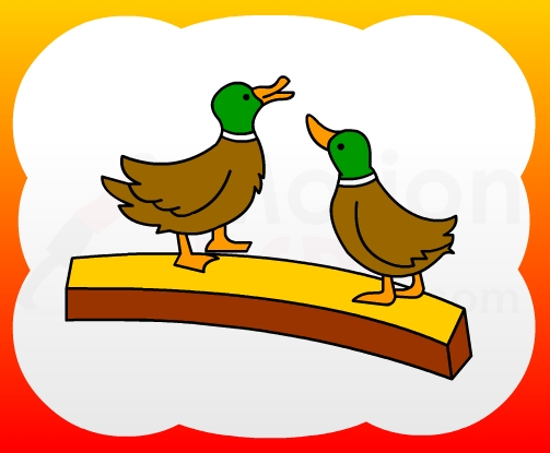 503x415 How2draw4kids How To Draw Two Ducks For Kids