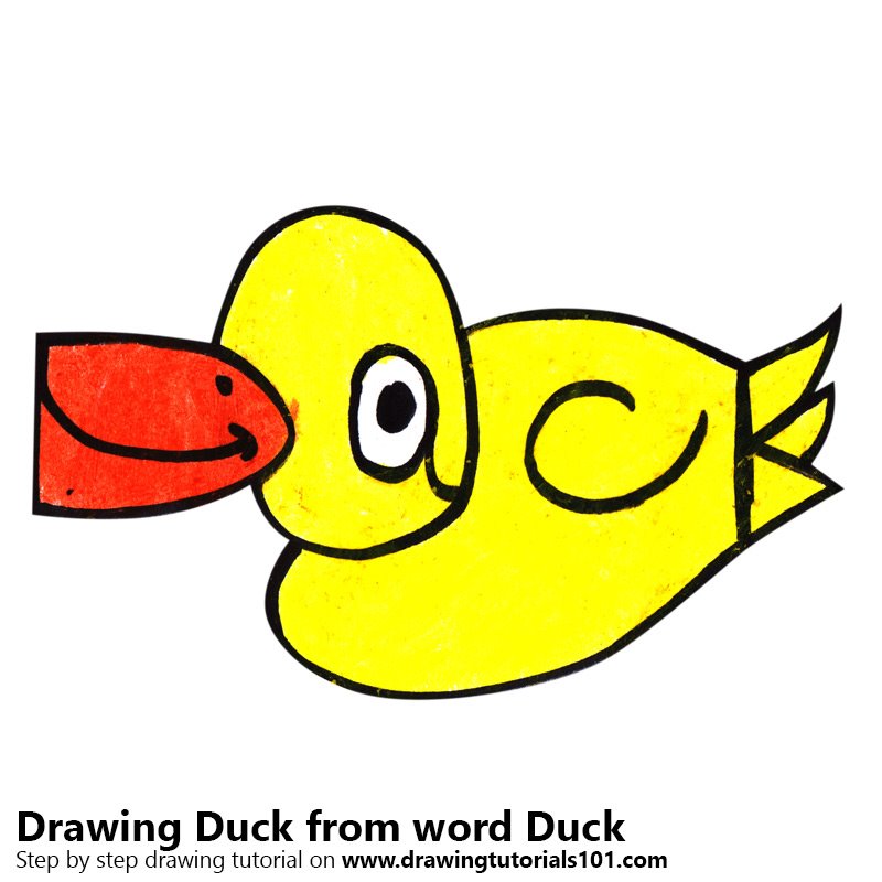 800x800 Step By Step How To Draw A Duck From Word Duck