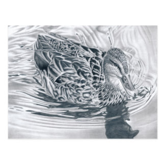 324x324 Pencil Drawings Pencil Drawing Duckling