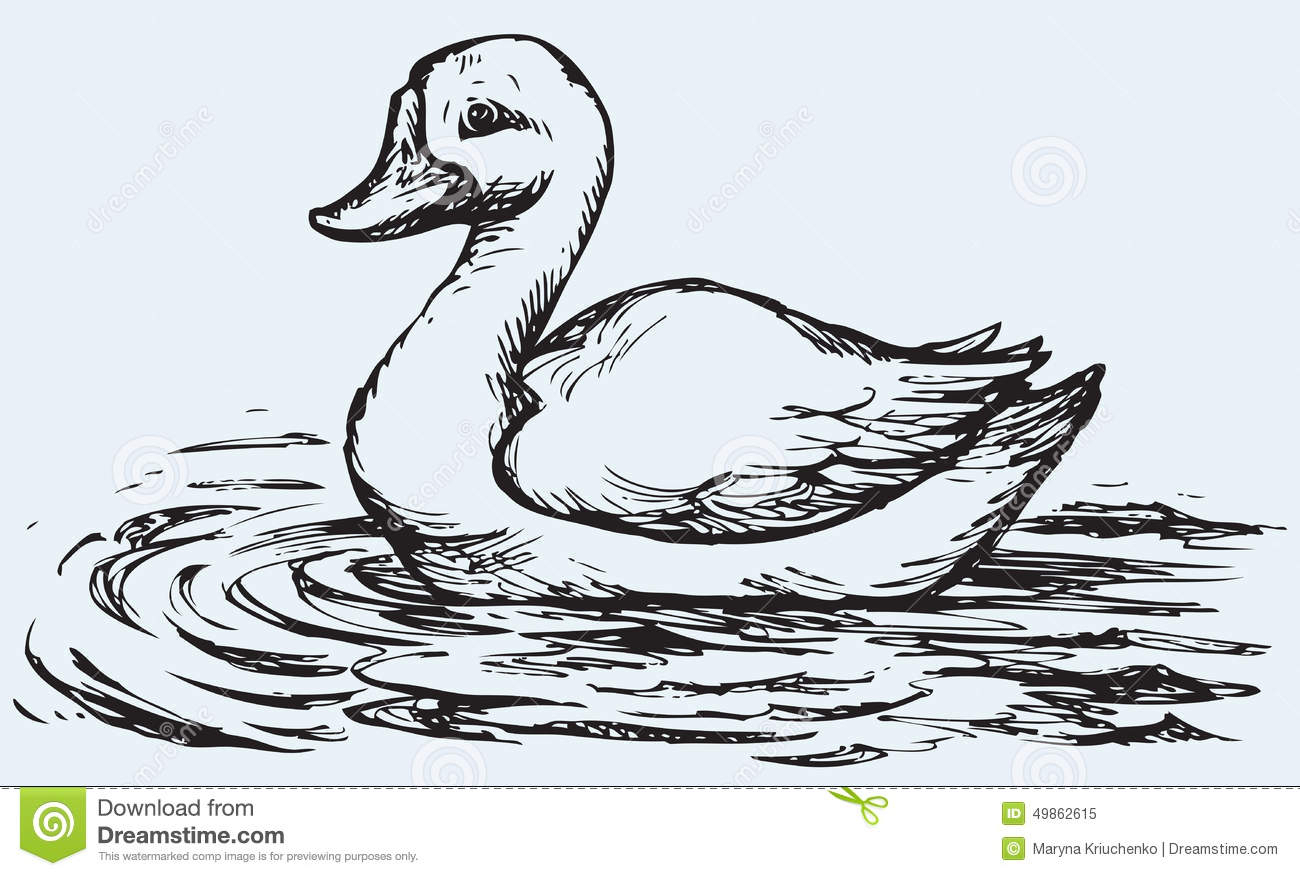 1300x876 Pencil Sketch Of Duck