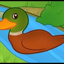 220x220 How To Draw How To Draw A Duck For Kids