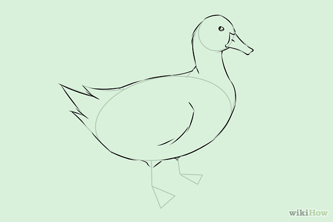 670x447 Draw Ducks