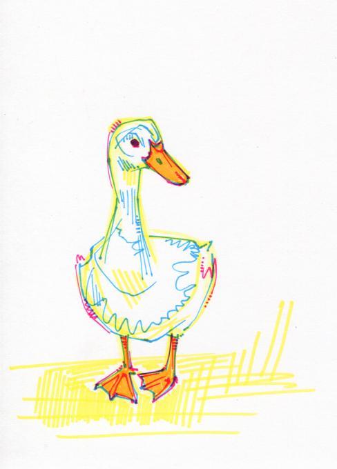 488x680 Duck Drawing. Nature. Drawings. Pictures. Drawings Ideas For Kids