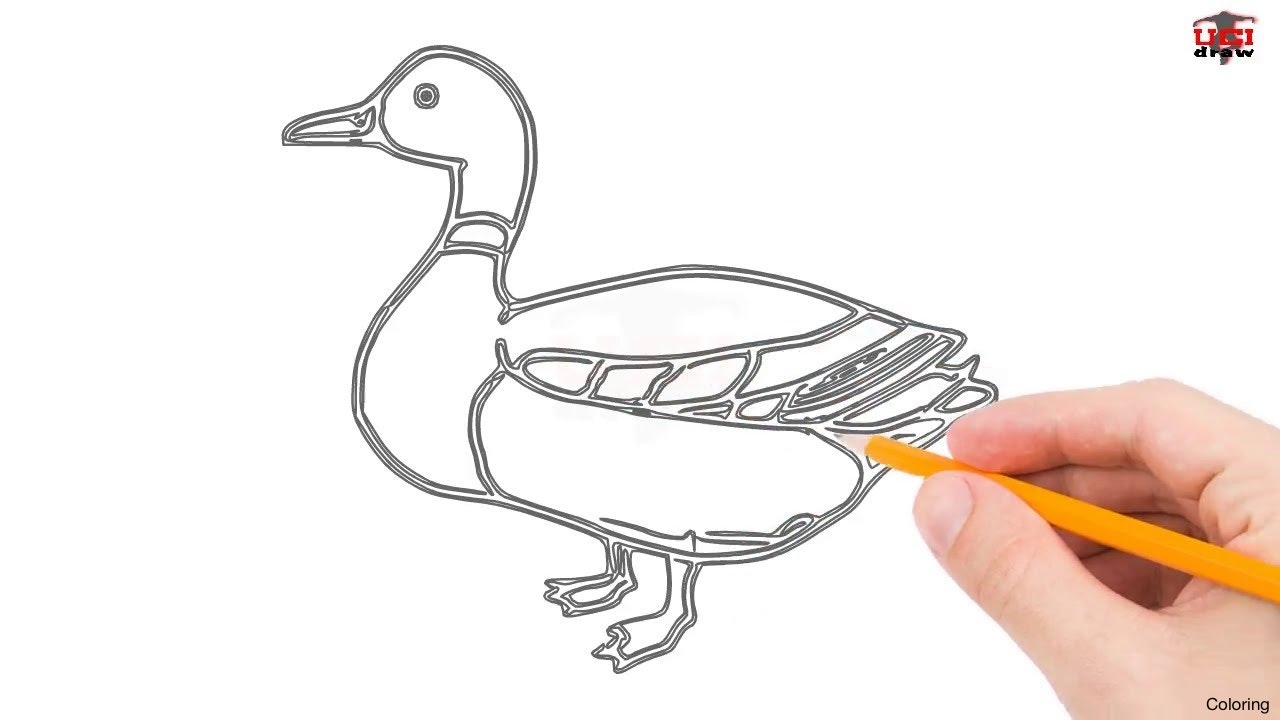 1280x720 How To Draw Cute Kawaii Ducks In A Row Easy Stepbystep Drawing