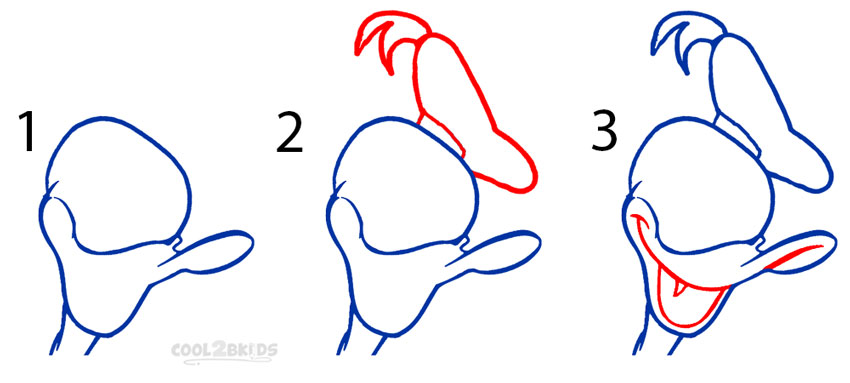 850x383 How To Draw Donald Duck (Step By Step Pictures) Cool2bkids