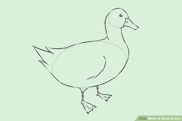 728x485 How To Draw Ducks (With Pictures)