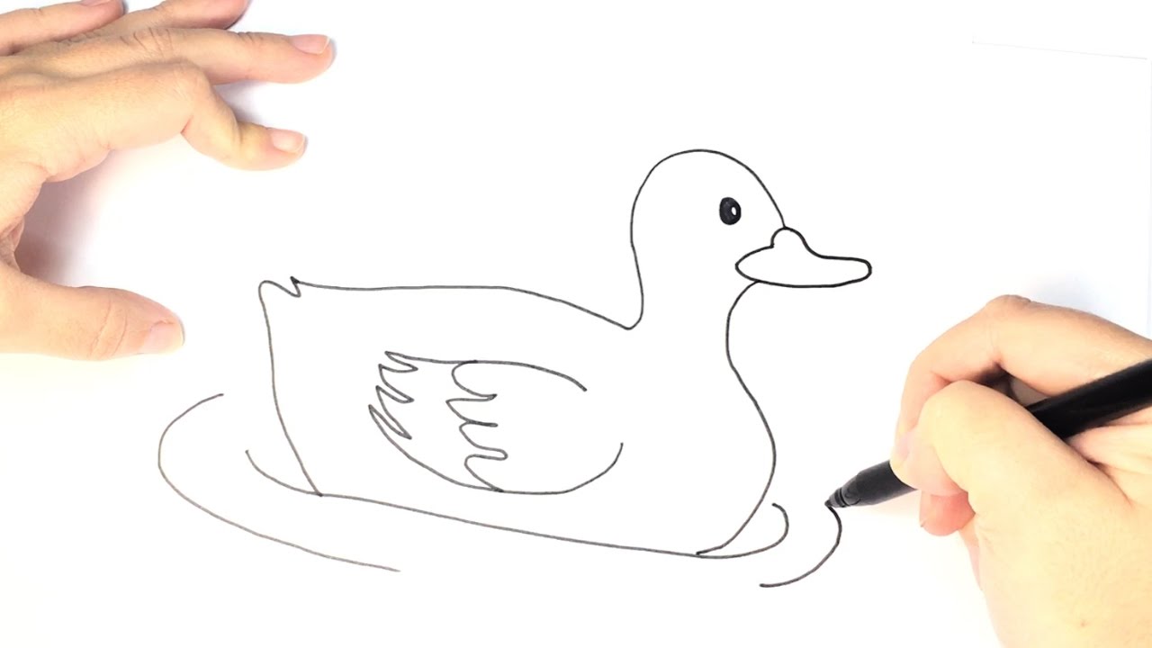 1280x720 How To Draw A Duck For Kids