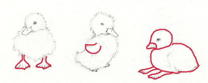 710x285 Adorable Art Learn How To Draw And Paint A Duckling Sketches