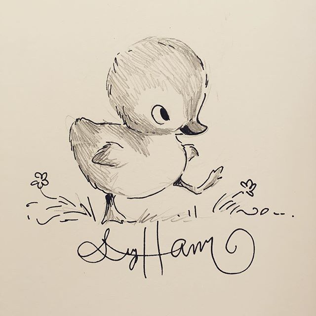 640x640 A Little Duckling Sketch In A Signed Copy Of Next To You