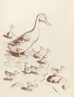 236x310 Make Way For Ducklings Next Tattoo