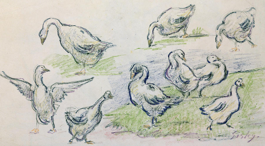 900x496 Ducks Drawing By Alfred Sisley