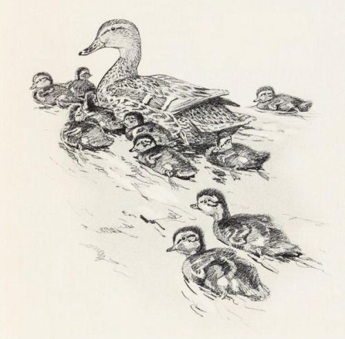 500x491 Lynn Bogue Hunt (1878 1960)