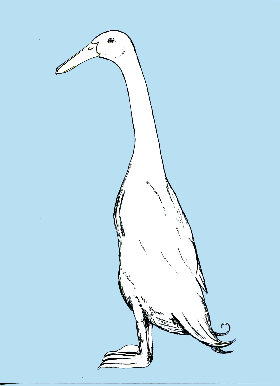 1163x1600 Millicent Crow My Creative Space, A Runner Duck, A Giveaway