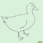 150x150 Simple Drawing Of A Duck How To Draw Chicks Drawing Cartoon Ba