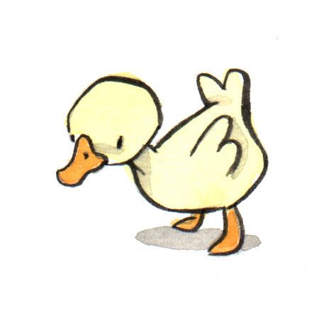 450x455 Duckling Every Day John Amp Wendy