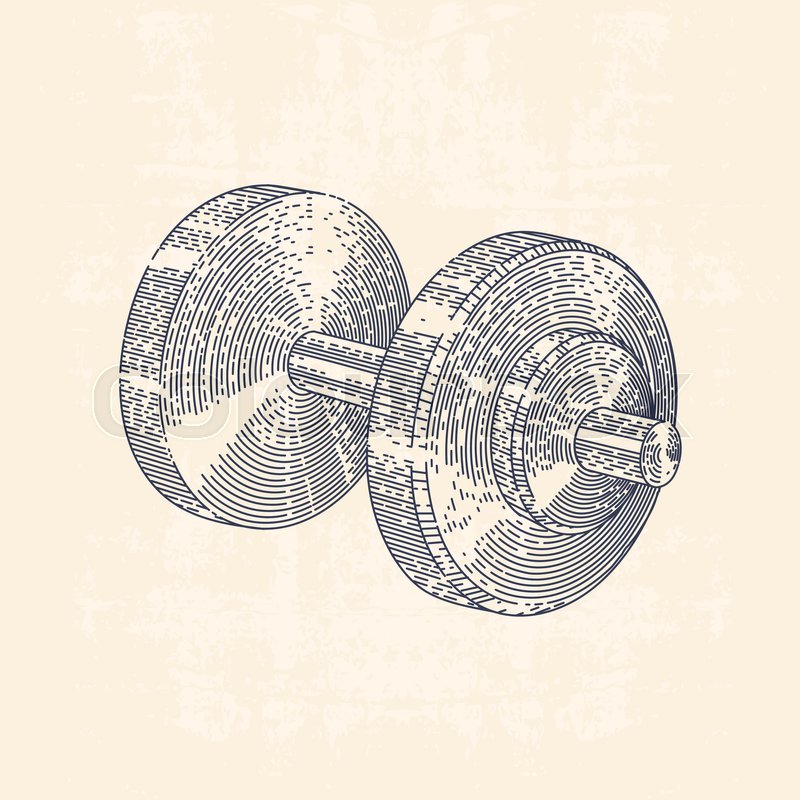 800x800 Vintage Line Drawing Illustration Of Dumbbell, Barbell Stock