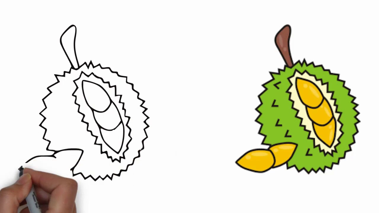 1280x720 How To Draw Durian Step By Step Mr Drawing