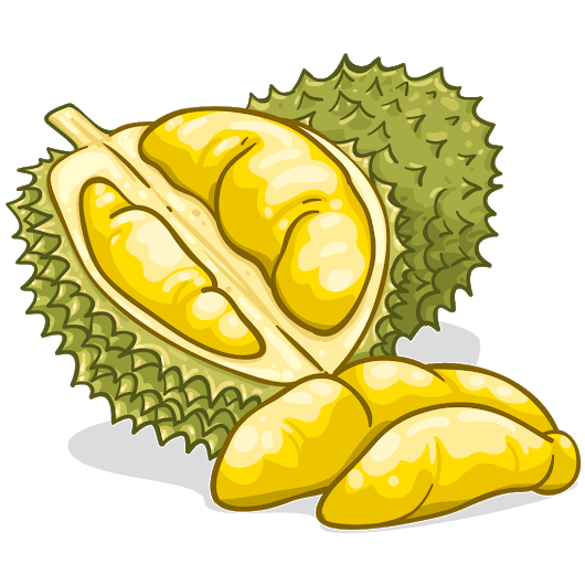 530x530 This Durian Drawing Looks Real!