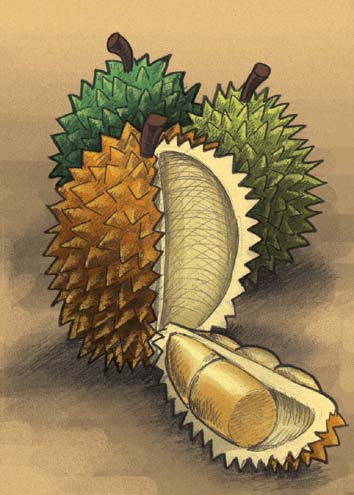 354x495 Durian Anyone By Arf