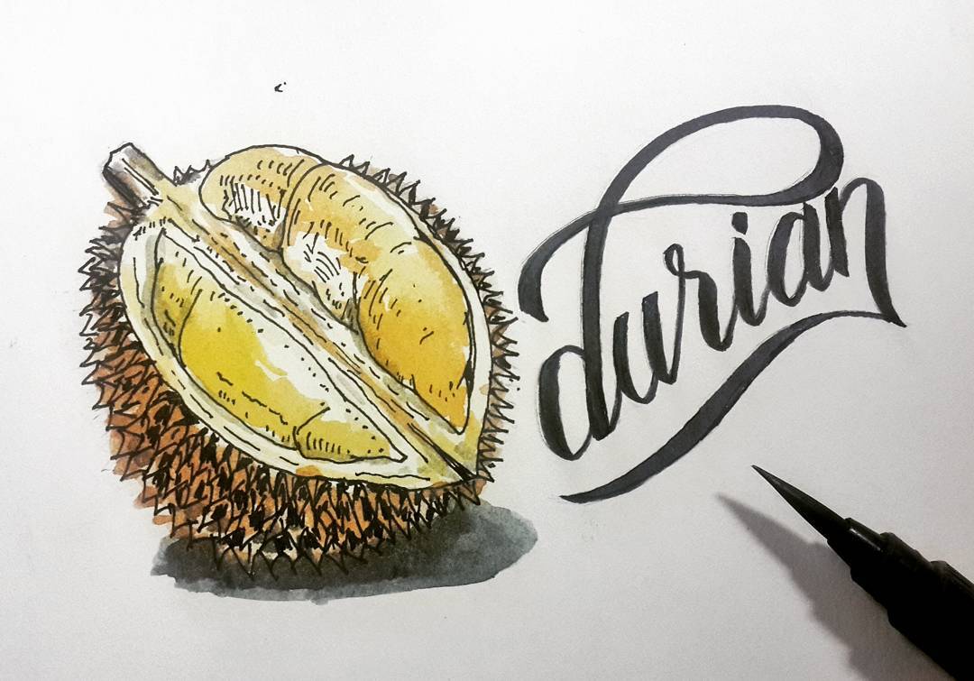 1080x755 Durian.