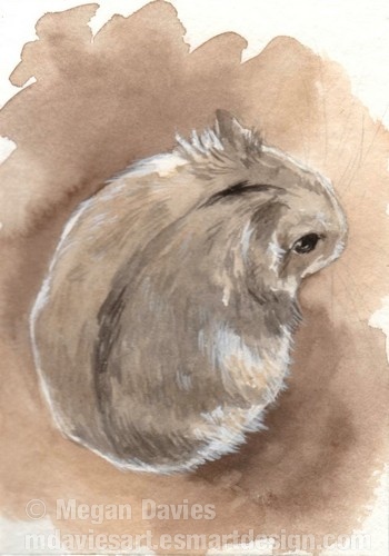 350x500 Russian Dwarf Hamster Aceo By Pannya