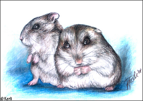 500x352 Vips Amp Sulli Coloured Pencil Drawing Of My Two Russian