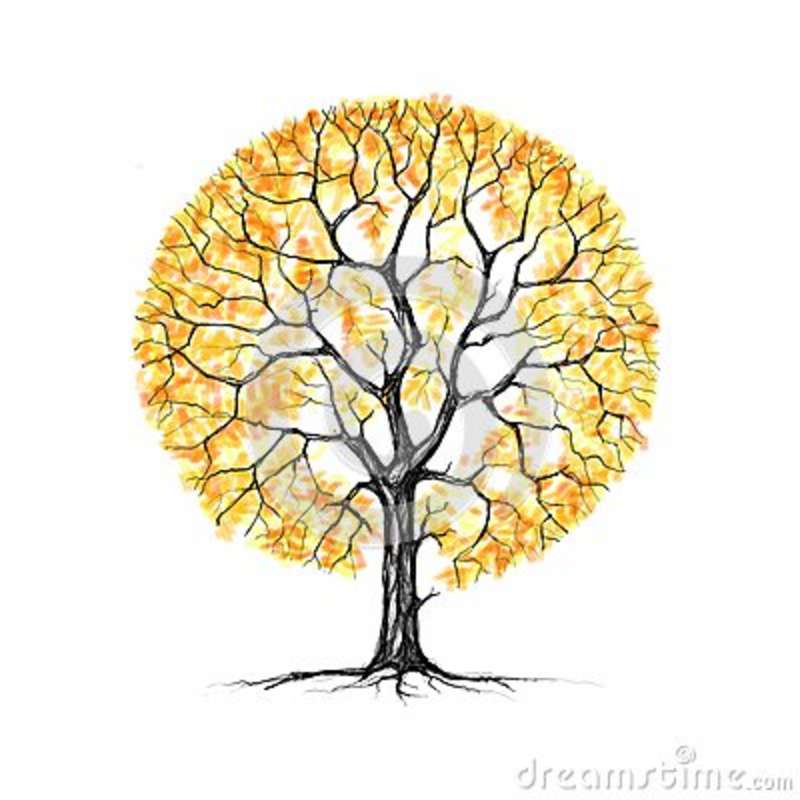 800x800 The Tree, Autumn, Drawing Royalty Free Stock Photos
