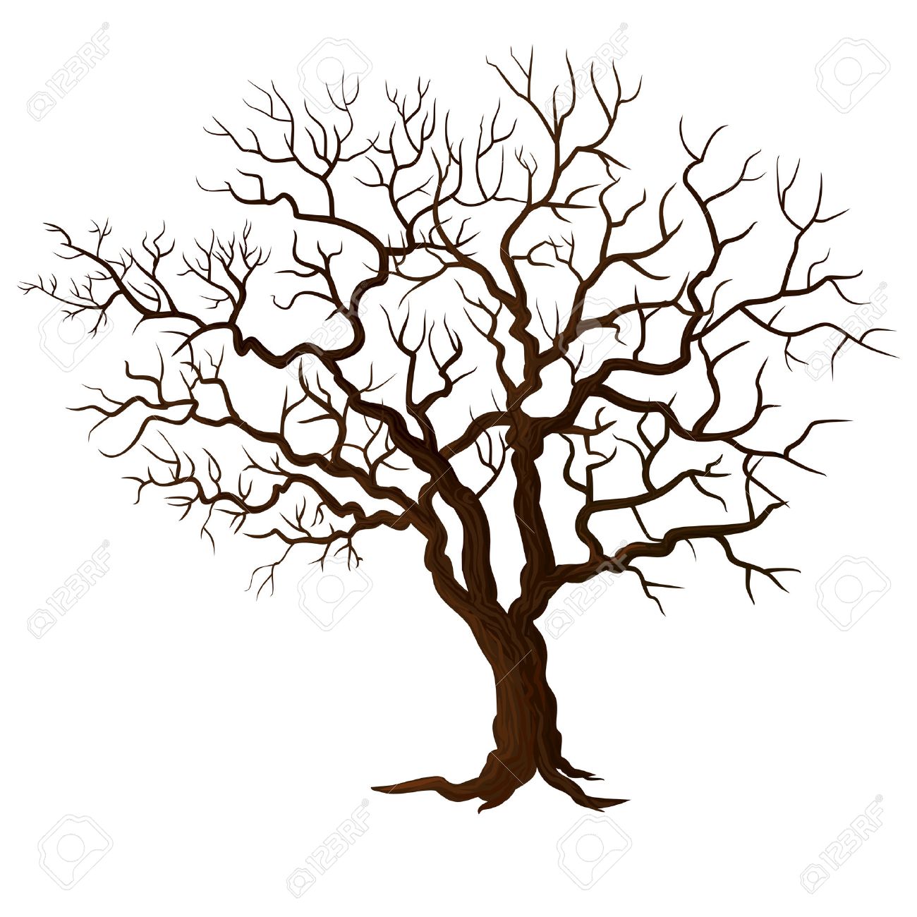 1300x1300 Tree Without Leaves Isolated On White Royalty Free Cliparts