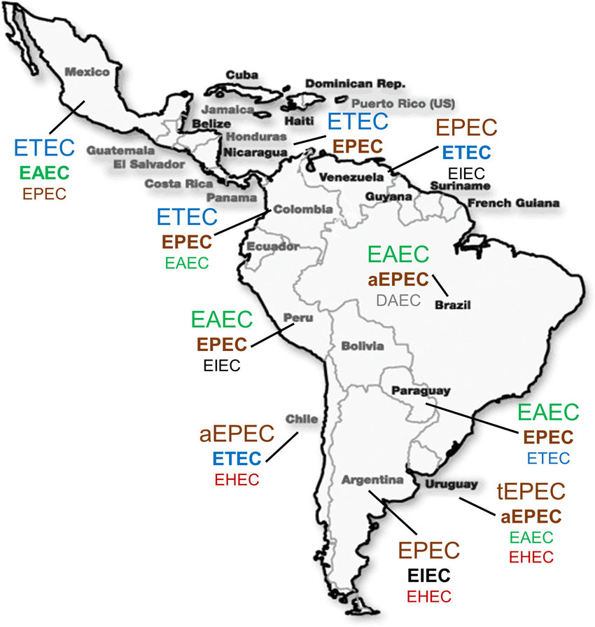 850x895 Prevalence Of Diarrheagenic E. Coli In Latin America. The Different