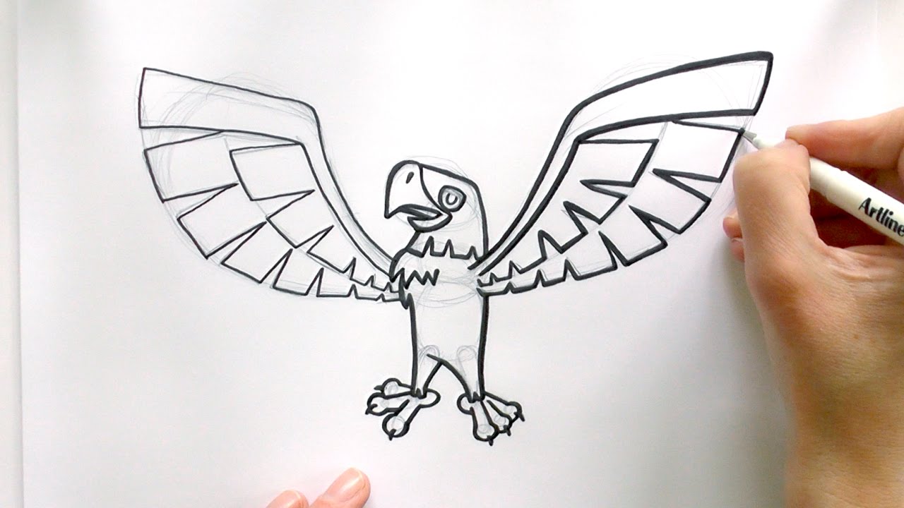 1280x720 How To Draw A Cartoon Eagle From Animal Jam