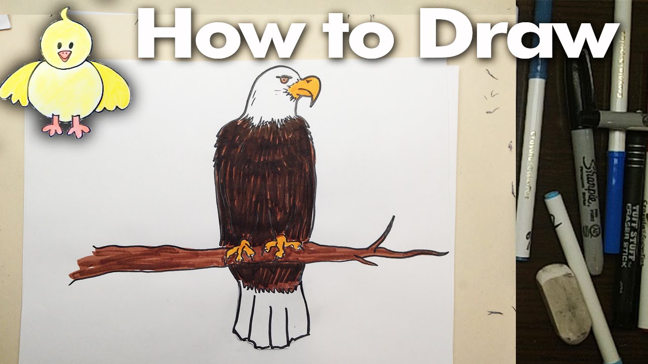 1280x720 How To Draw A Cartoon Eagle Step By Step