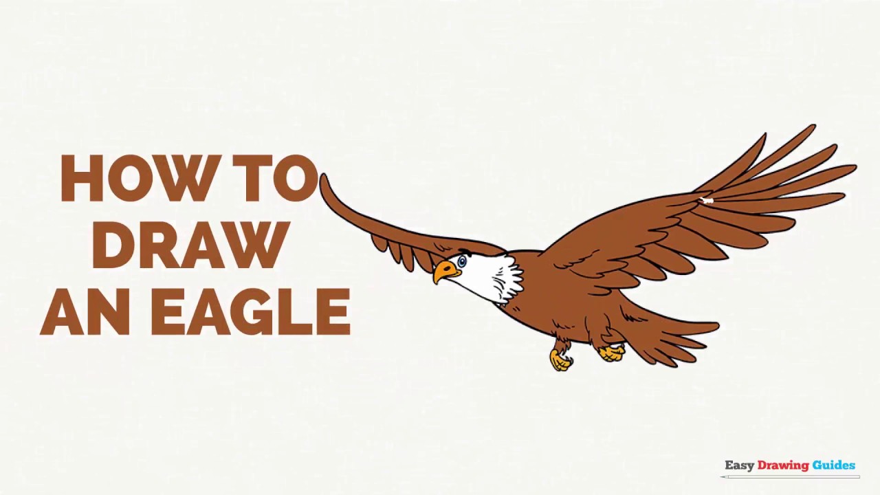 1280x720 How To Draw An Eagle In A Few Easy Steps Drawing Tutorial