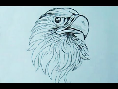 480x360 How To Draw An Eagle Head With Pen Yzarts Yzarts