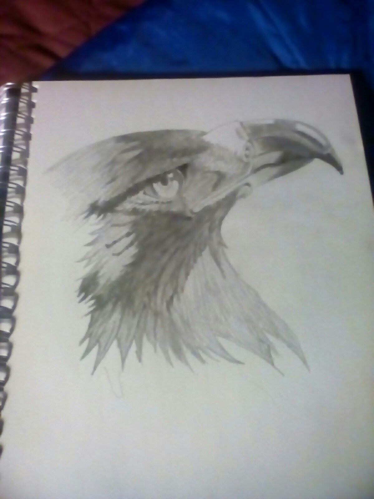 1200x1600 Drew This1 27 17 Gloden Eagle Pencil Drawings Drawings