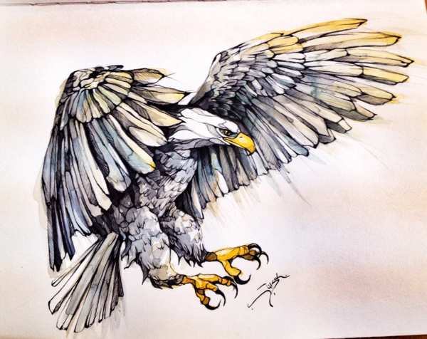 600x476 Eagle On Behance Drawings Amp Illustrations Eagle