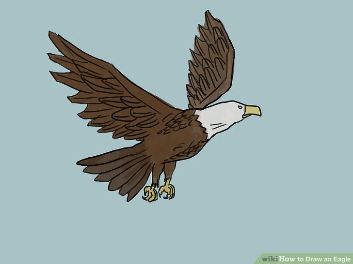 728x546 4 Ways To Draw An Eagle