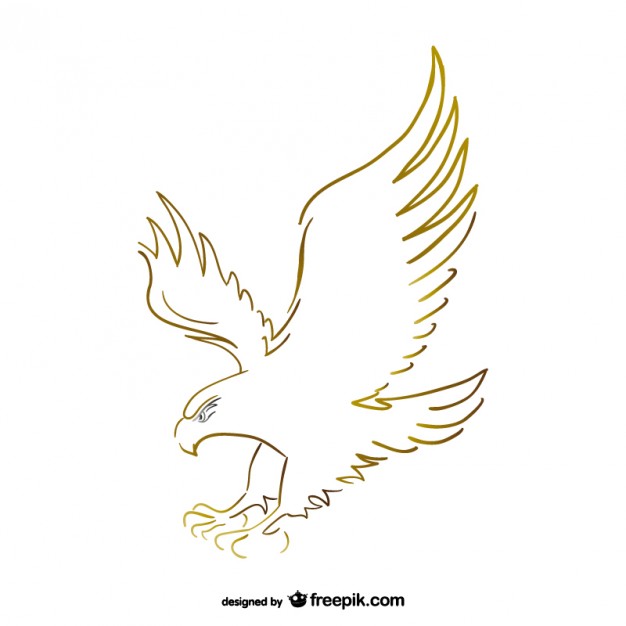 626x626 Eagle Vectors, Photos And Psd Files Free Download