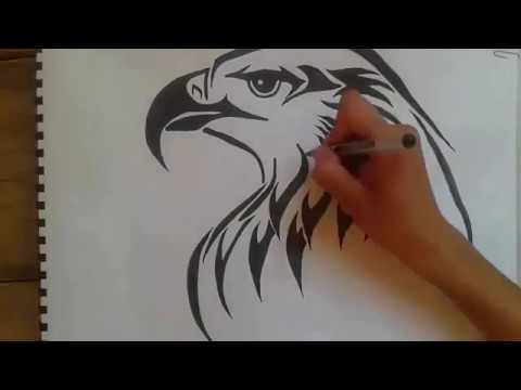 480x360 How To Draw Eagle Tattoo Vsl Ksv Draw Eagle