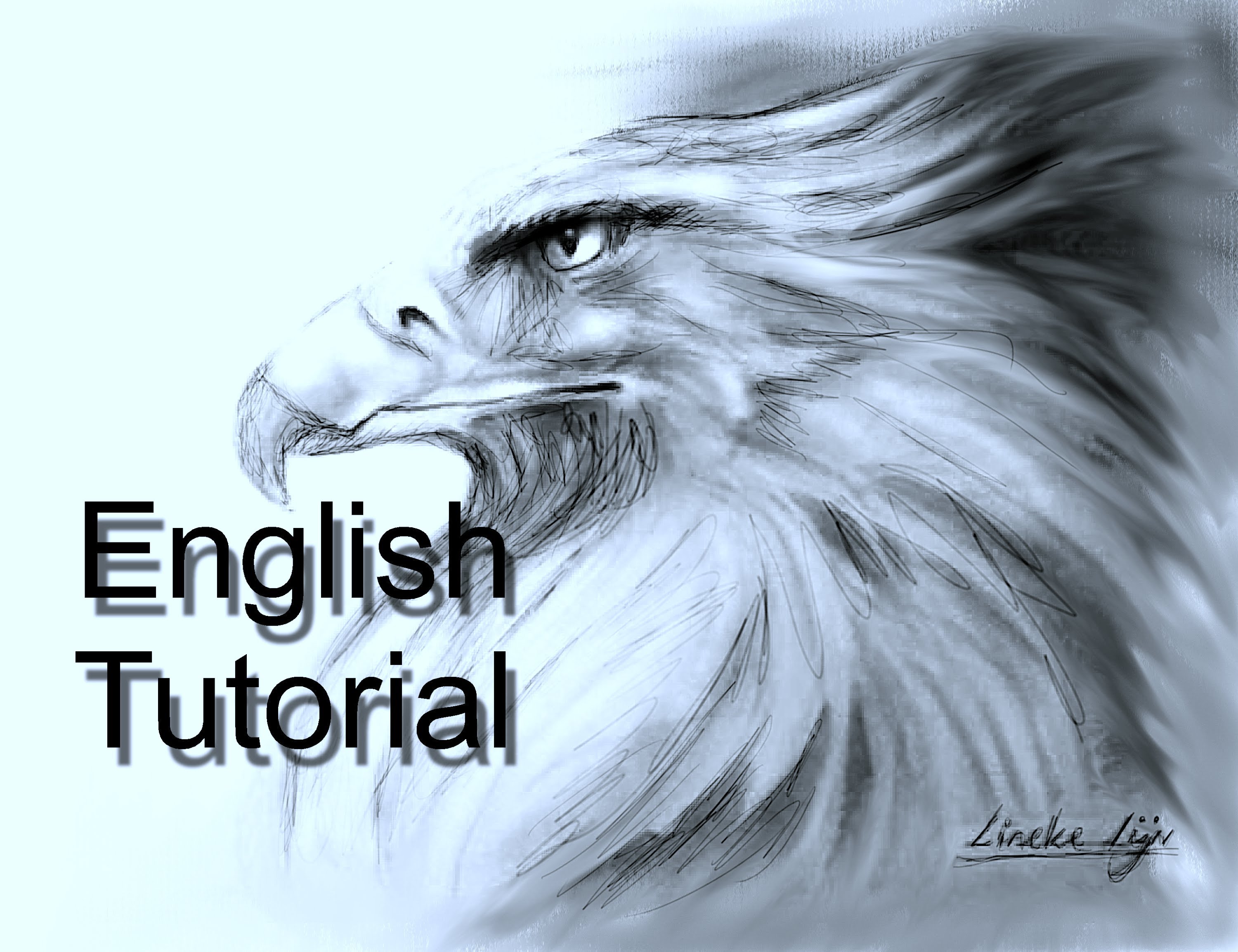 3000x2308 Drawing An Eagle Head In Graphite Pencil Easy Tutorial Hildur.k.o