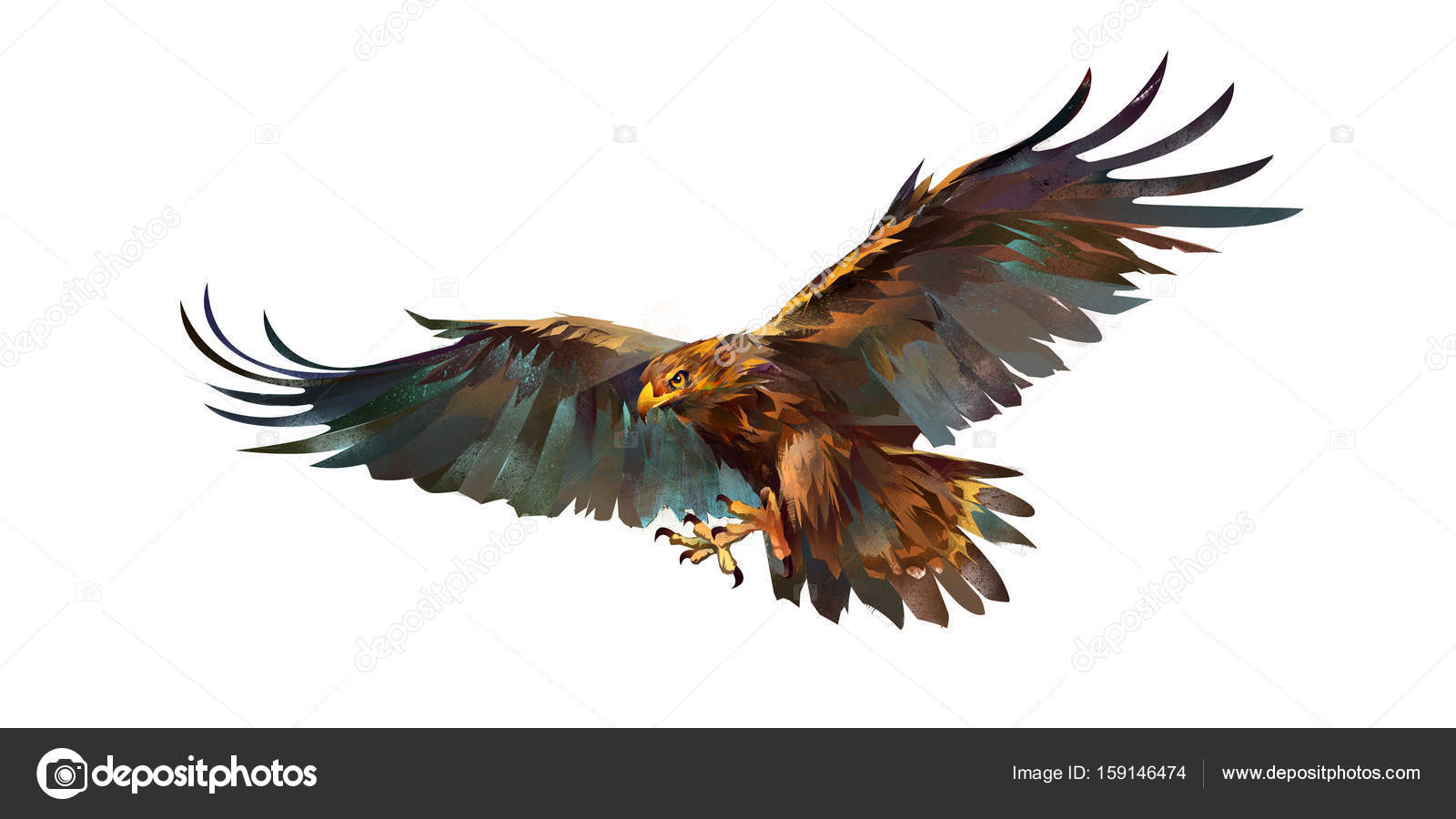 1600x900 Drawing Flying Eagle On White Background Stock Photo Khius