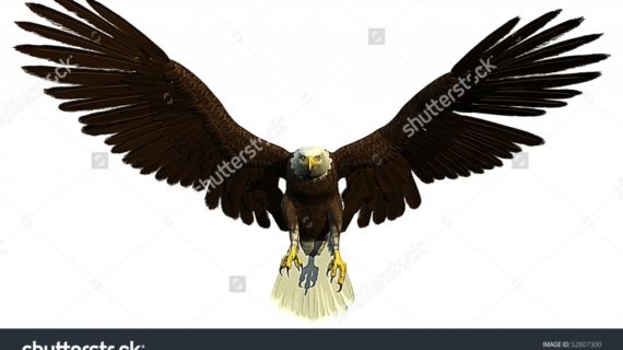 570x320 Pencil Drawings Of Eagles In Flight Ruben39s Art How To Draw