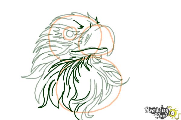600x400 How To Draw An Eagle Head